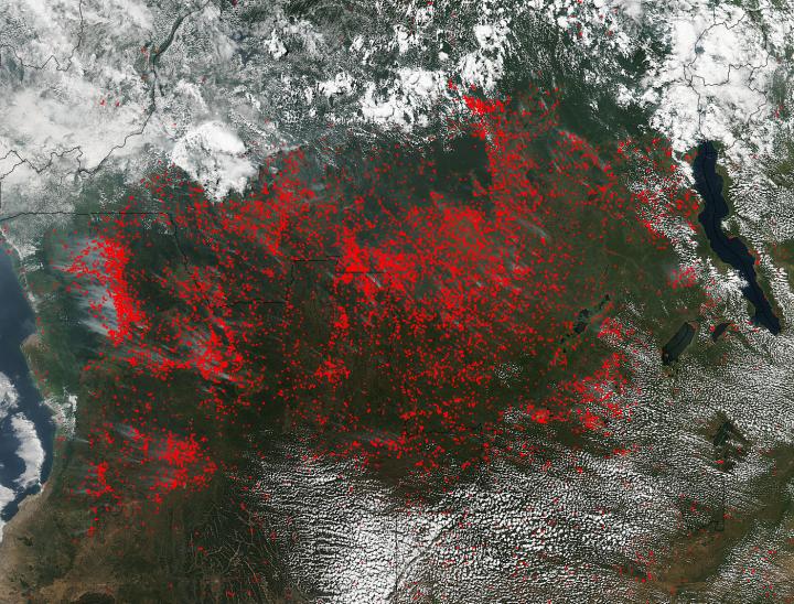 Central Africa Blanketed by Fires