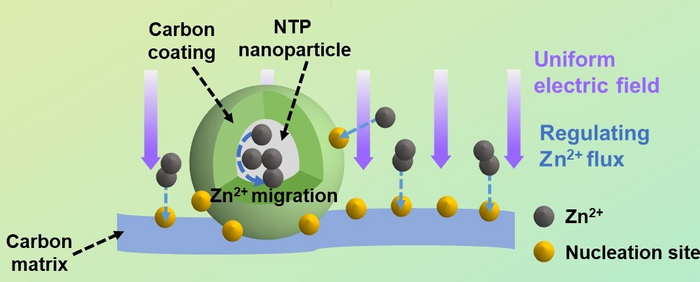 Protective mechanisms of NTP-C