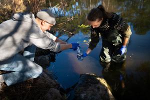 Students collecting water samples