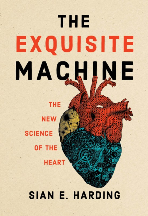 Cover art to "The Exquisite Machine"