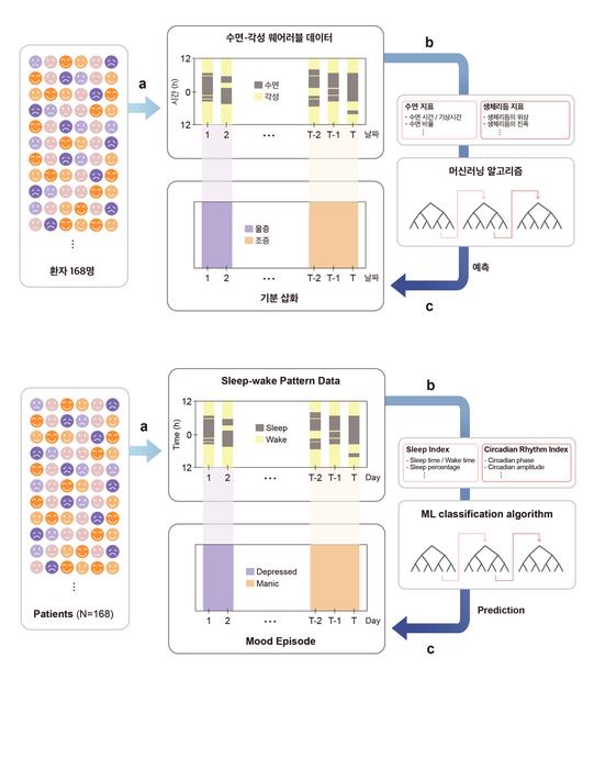 Figure 1. Development of a mood episode prediction model using only sleep-wake data