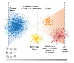 Loss in gene network complexity in cancer onset