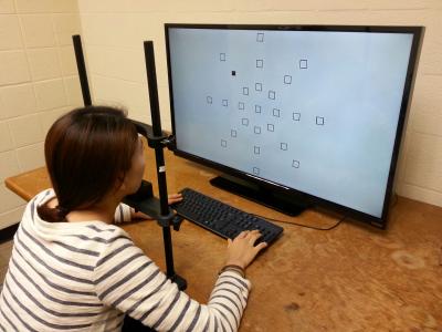 People Pay More Attention to the Upper Half of Field of Vision