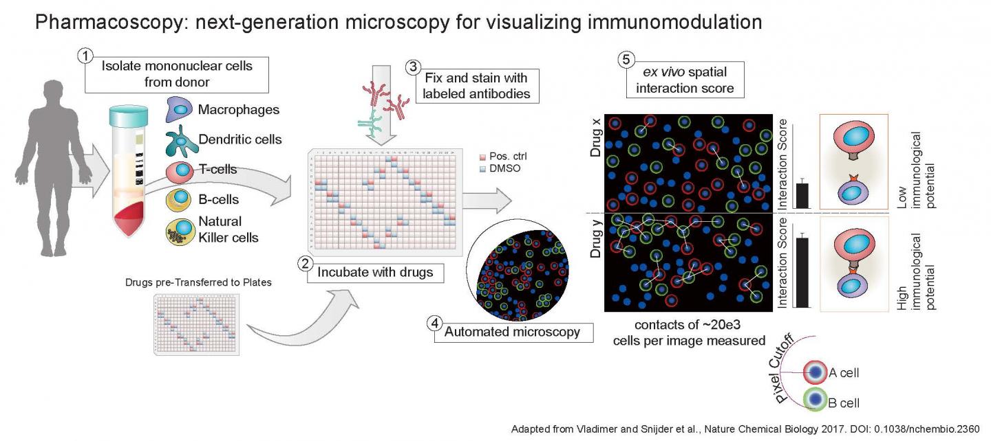 Graphical Abstract of the Pharmacoscopy Method