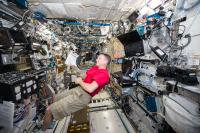 Me and My World: The Human Factor in Space