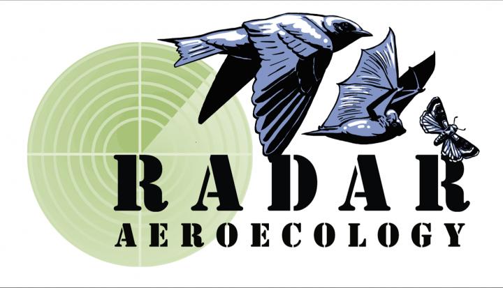 Radar Aeroecology Logo