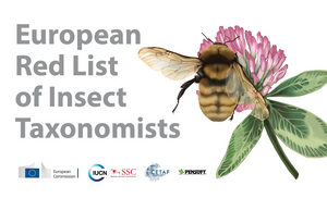 European Red List of Insect Taxonomists