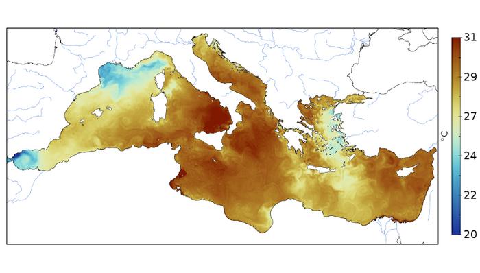 Map of the surface temperature of the Mediterranean Sea corresponding to July 24, 2023 from Copernicus / ICM-CSIC.