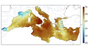 Map of the surface temperature of the Mediterranean Sea corresponding to July 24, 2023 from Copernicus / ICM-CSIC.
