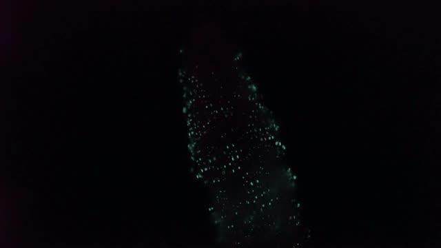 Pyrosoma atlanticum bioluminescence compilation