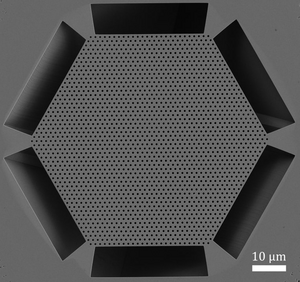 SEM of the Berkeley Surface Emitting Laser