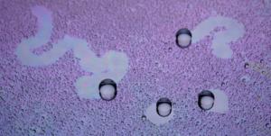 Dancing droplets’ new spin on water harvesting