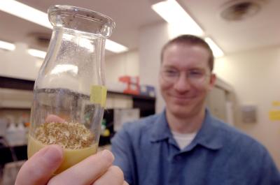 <i>Drosophila</i> Evolution