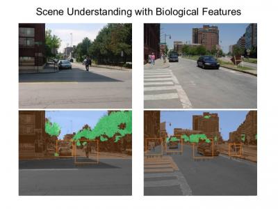 Scene Understanding with Biological Features