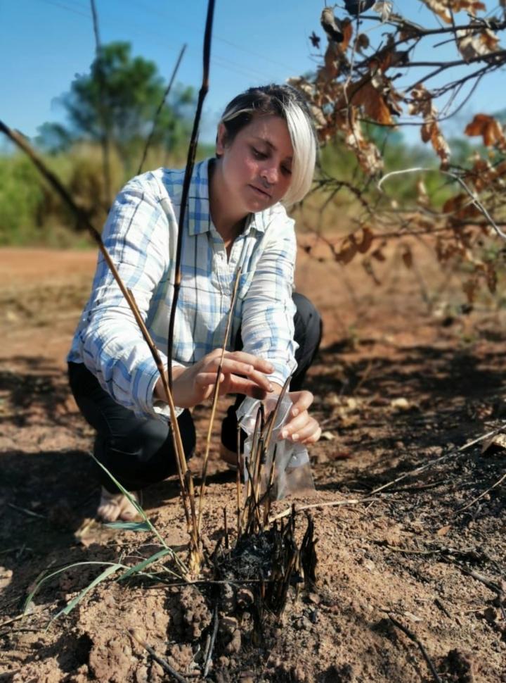 Gathering charred material for analysis