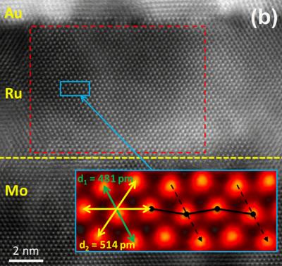 Electron Microscopy Image