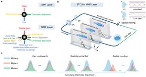 Fig.1 Concept of STML and STDSs in MMF lasers.