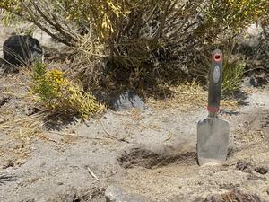 First centimeters of loamy sand soil sampled on the Pichu Pichu volcano (Arequipa, Peru).