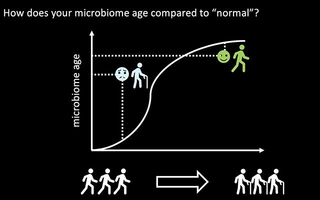 Skin Microbiome on Aging Graphic, University of California San Diego