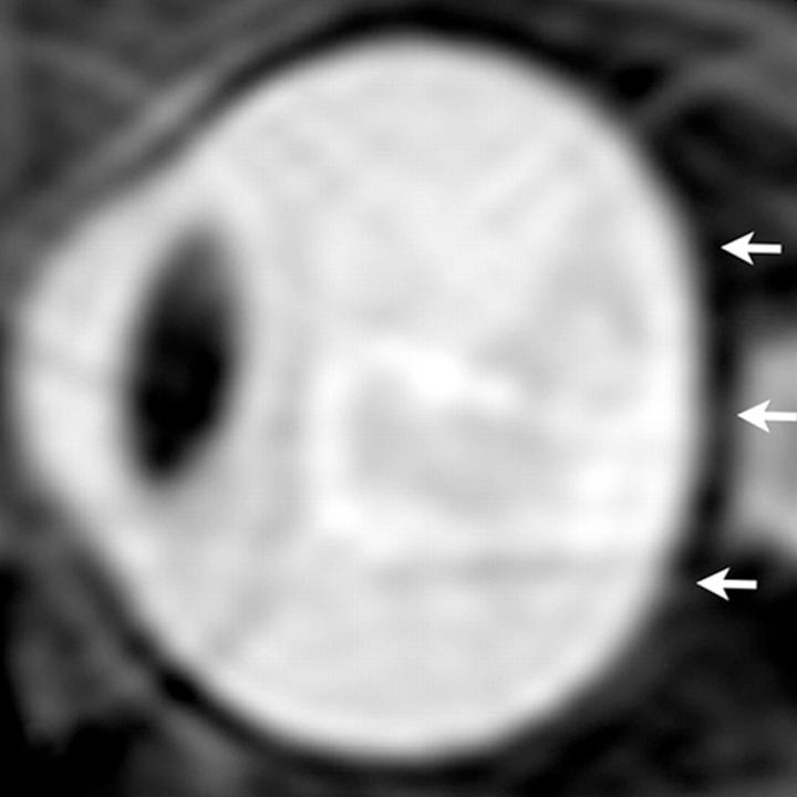 Figure 2: From 2012 Study