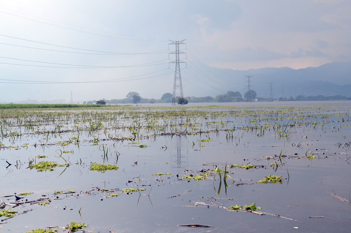 There is still work to be done to bring farmers the climate information they need to adapt to climate change