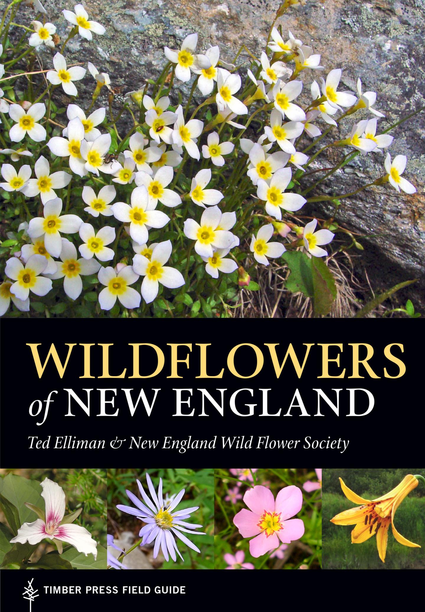 Wildflowers of New England Cover Photo