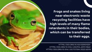 Flame Retardants in Frogs and Snakes