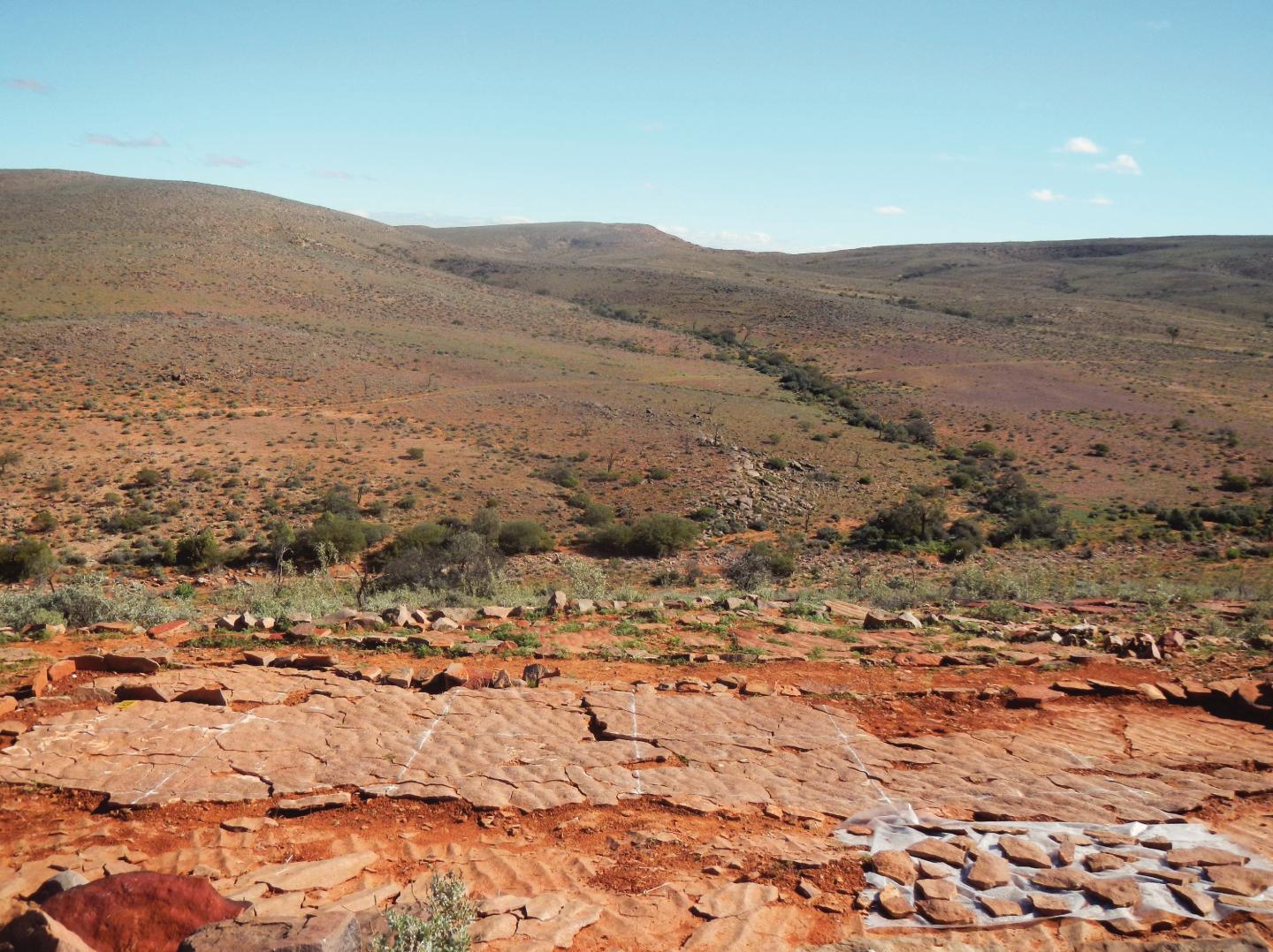 Excavated Bed of Fossils