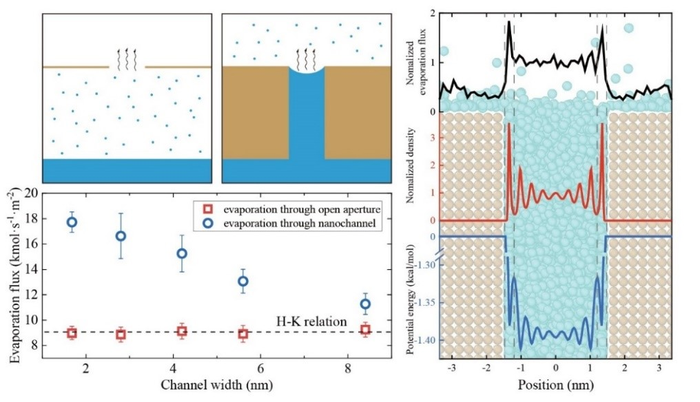 Hydrophilicity gradient in covalent organic frameworks for membrane distillation