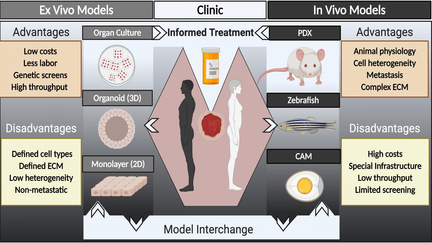 Schematic illustrating multiple platforms available for patient-derived models of cancer