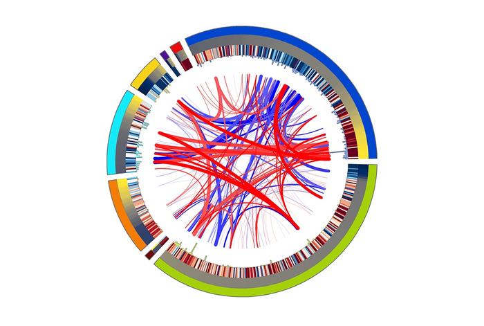 New Research Shows How Cancer Rewires a Key Immune Pathway To Spread