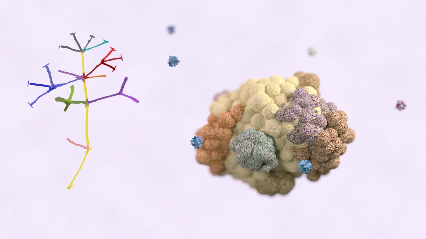Tumor Antigens Help Explain Varied Reactions EurekAlert!