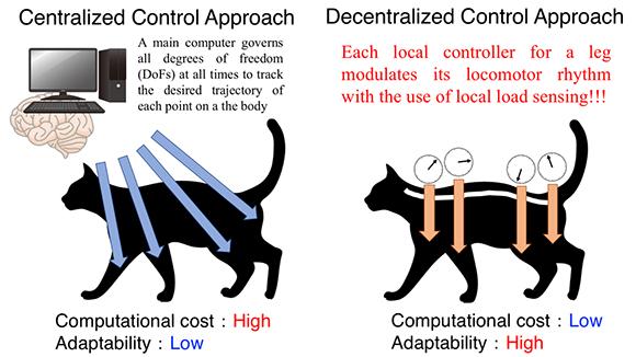 Quadruped Robot Exhibits Spontaneous Changes in Step with Speed