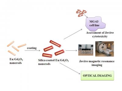 Schematic Diagram of the Europium Doped Gadolinium Oxide Nanorods and the Silica Coating to Improve 