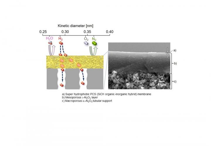 Selective Hydrogen Gas Permeation