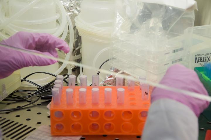 Brand-New Method to Heal Brain Cancer