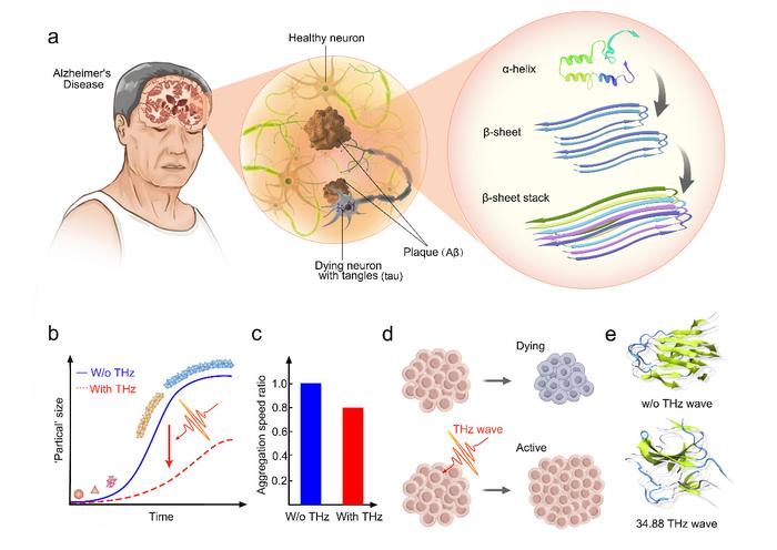 Potential Alzheimer's treatment would use hig | EurekAlert!