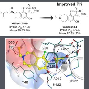 Generating a novel PTPN2/N1 inhibitor using AI