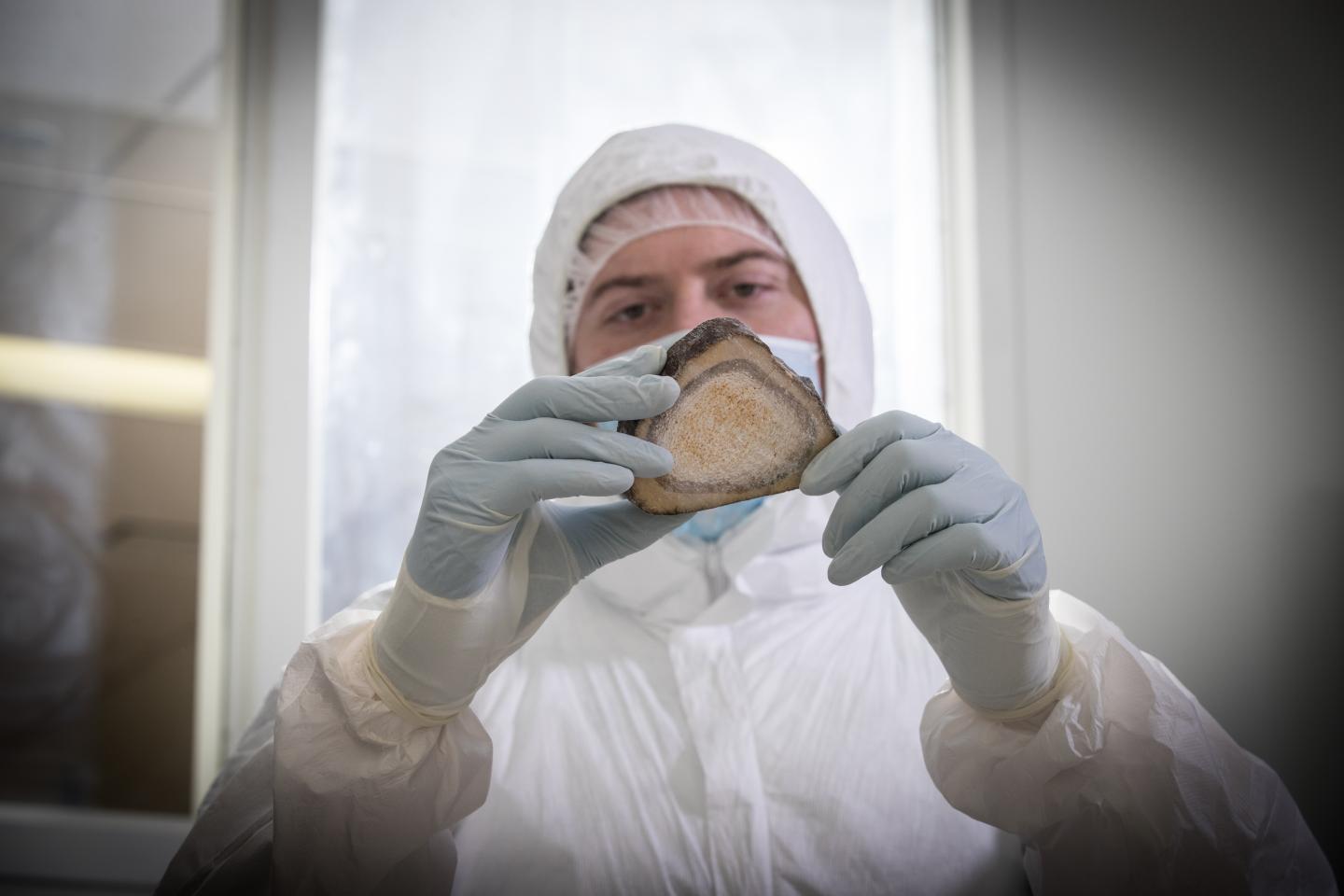 Graduate Student Emil Karpinski Holds a Tibial Cross Section from a Siberian Woolly Mammoth