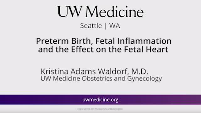 Prenatal Infection, Preterm Birth & Adult Heart Disease