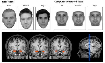 Our Brains Judge a Face's Trustworthiness -- Even When We Can't See It