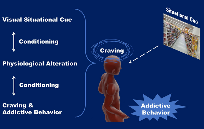 Situational cues