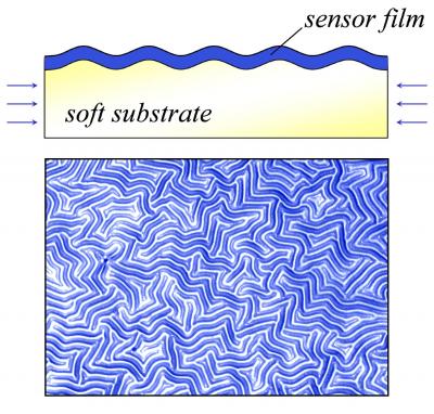 Soft Materials Buckle Up for Measurement