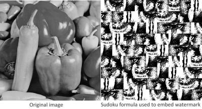 Original Peppery Image and Sudoku Baboon Watermark