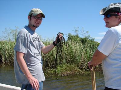 Collecting SAV Samples in the Mobile Delta