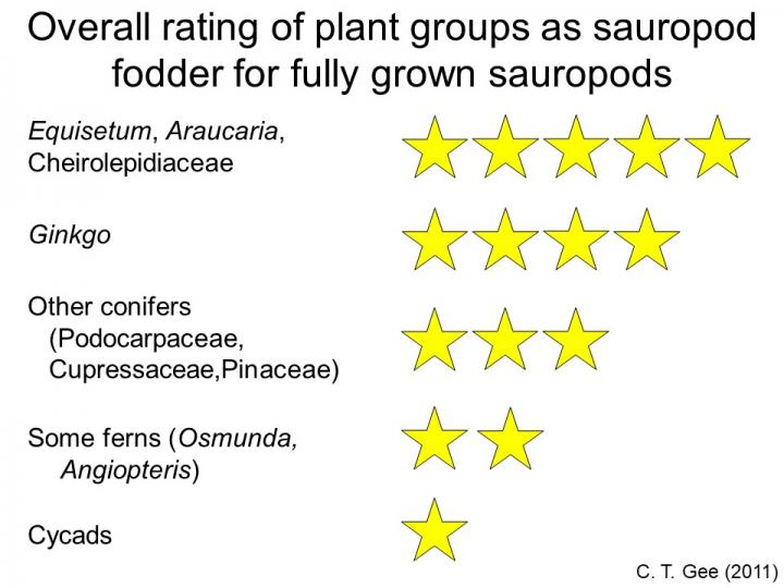 Overall Rating of Plant Groups as Sauropod Fodder for Fully Grown Sauropods