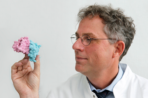 Prof. Dr. Achim Krüger with a model of the protein TIMP1