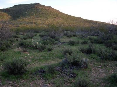 Tumamoc Hill, Tucson, Ariz.