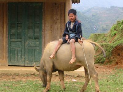 New Hypothesis for Human Evolution and Human Nature (1 of 2)