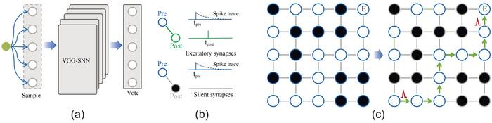 Running applications with millions of neurons on Darwin3